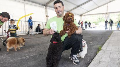 Concurso canino zas 006