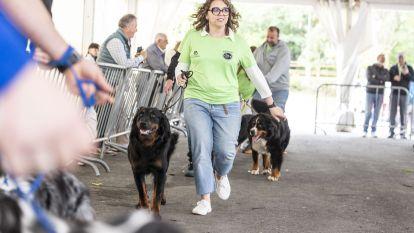 Concurso canino zas 012