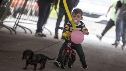 Concurso canino zas 002
