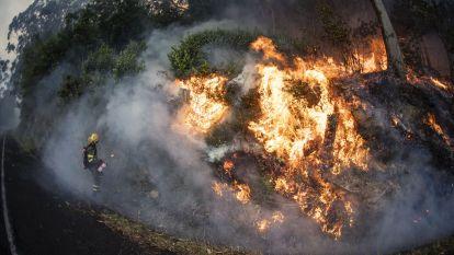 Incendio 025