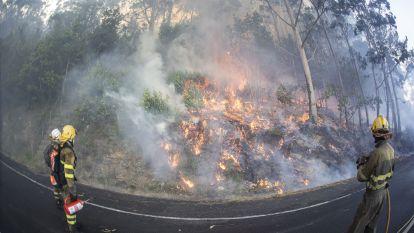 Incendio 028