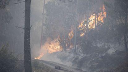 Incendio 009