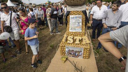 Festa da Pataca en Coristanco (49)