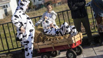 Carnaval baio 43
