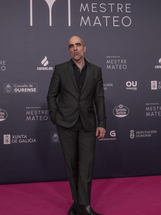Premios Mestre Mateo (2)