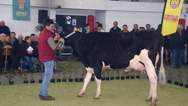 El ideal gallego