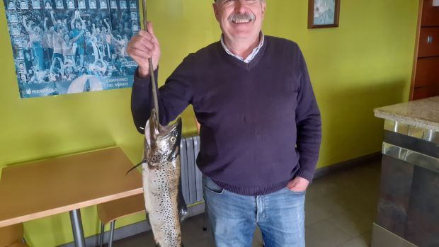 El ideal gallego