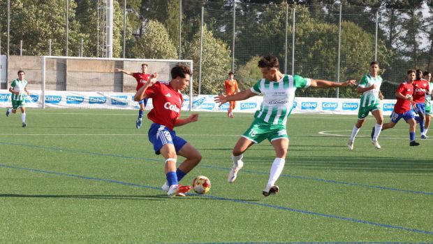 El ideal gallego