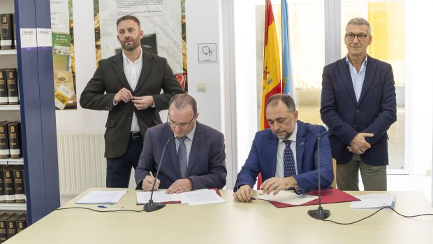 El ideal gallego