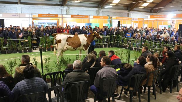 El ideal gallego