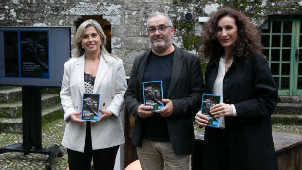 El ideal gallego