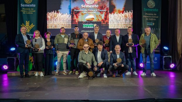 El ideal gallego