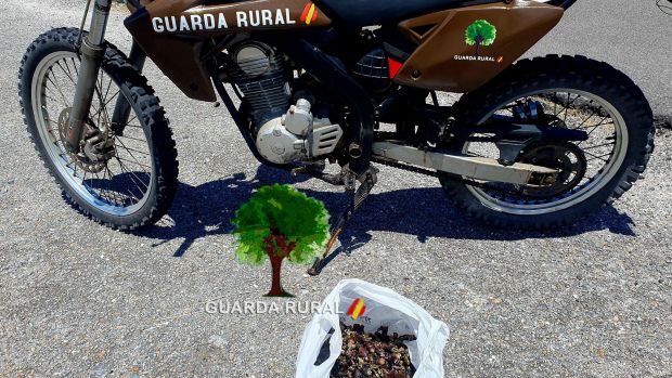 El ideal gallego
