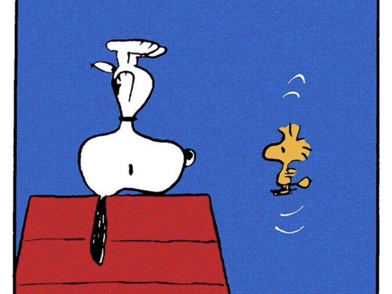 Snoopy (3)