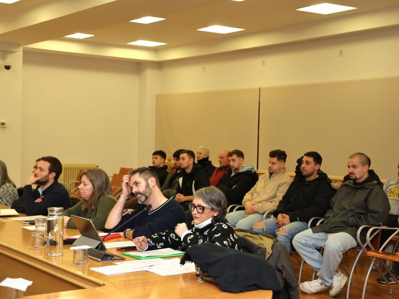 Pleno carballo razo