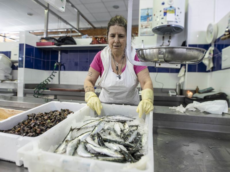 Sardinas mercado 001