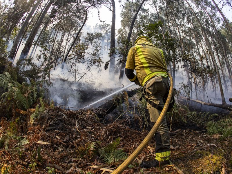 Incendio 016