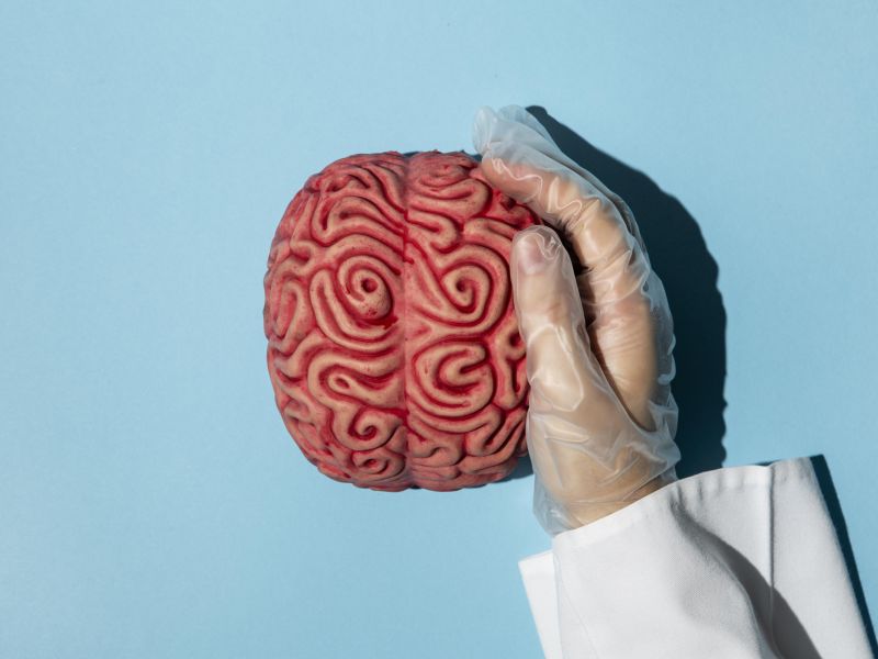 Top view person holding brain