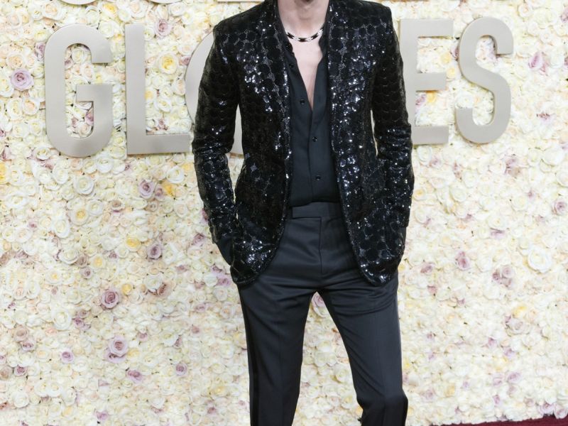 Timothee Chalamet @EFE EPA ALLISON DINNER