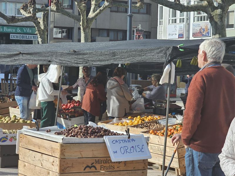 Feria de Carballo