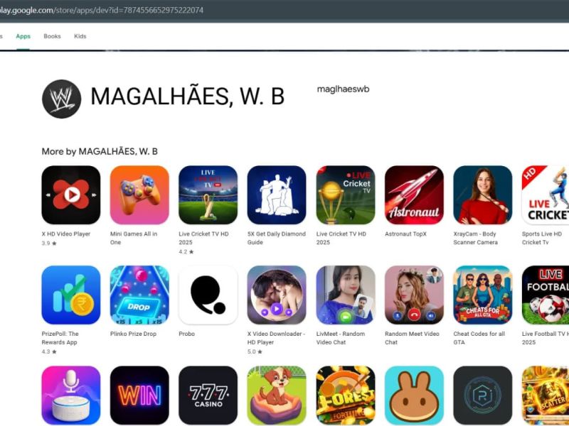 Malicious apps google play users for seed phrases 2