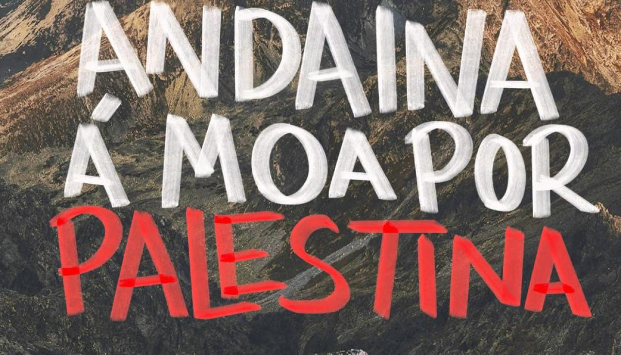 Cartel de la andaina por Palestina
