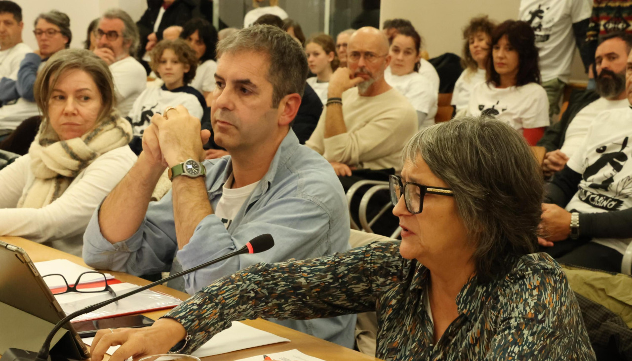La portavoz socialista, durante su intervención en el pleno