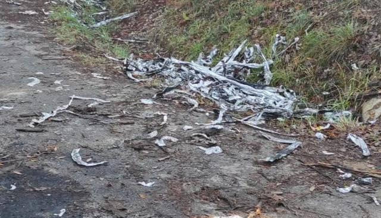 Basura en la carballeira de Santa Mariña de Corcoesto