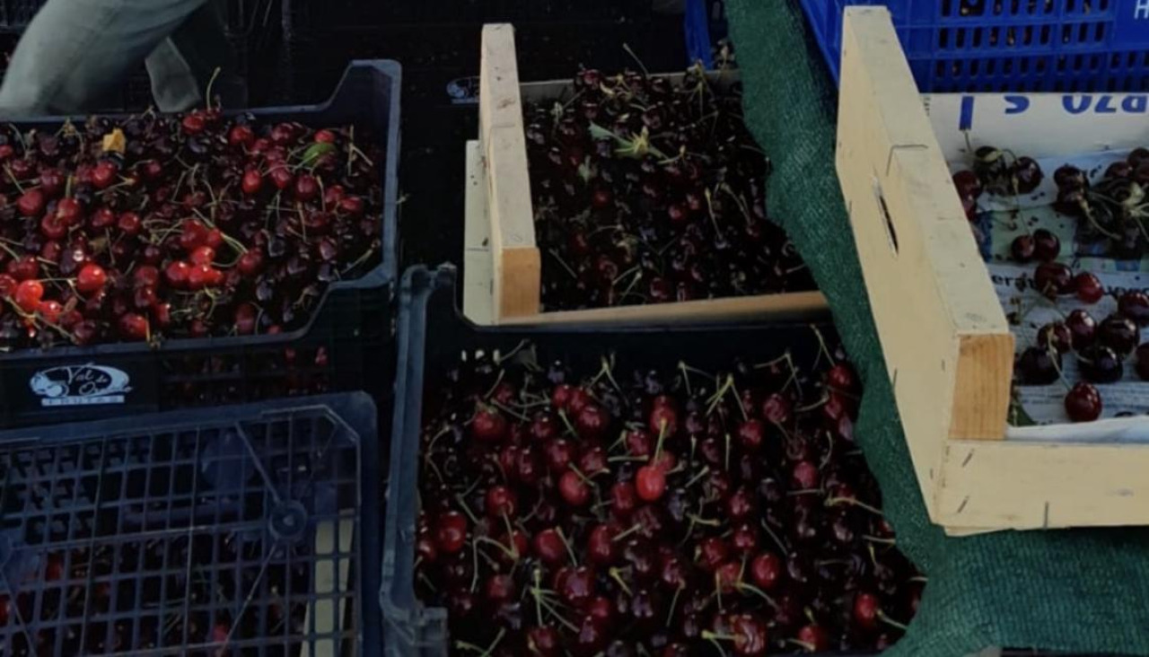 Cosecheros del Bierzo, en Paiosaco este domingo
