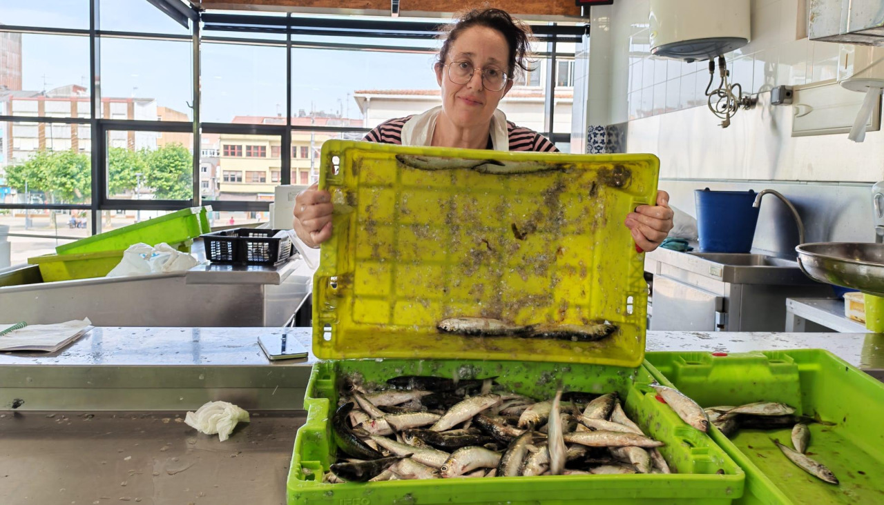 Sardinas en la plaza de abastos de Carballo, este martes