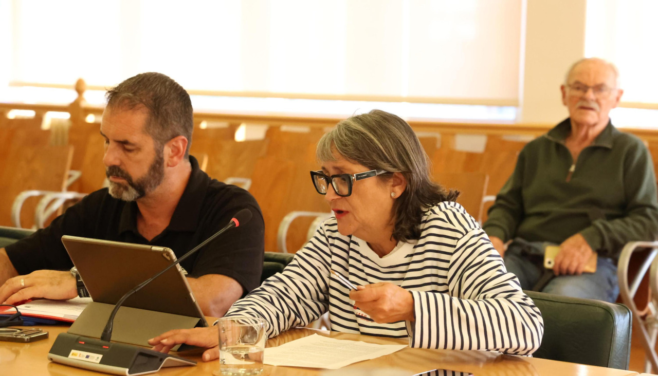 pleno carballo (2)