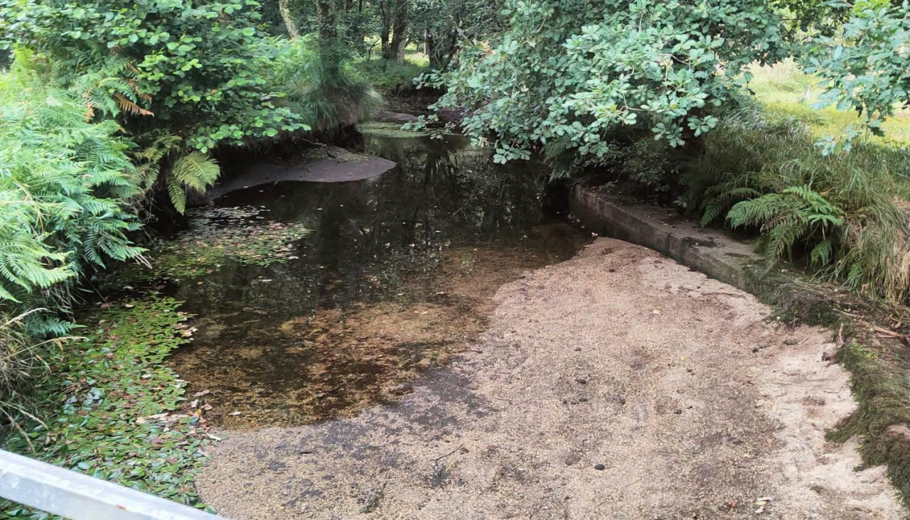 El caudal del río Abuín está bajo mínimos