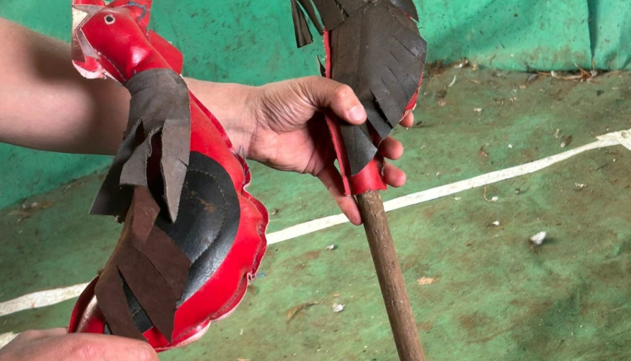 Peleas de gallos en Coristanco (6)