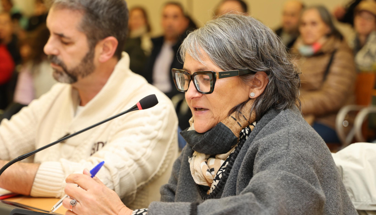 Mari carmen vila psoe carballo