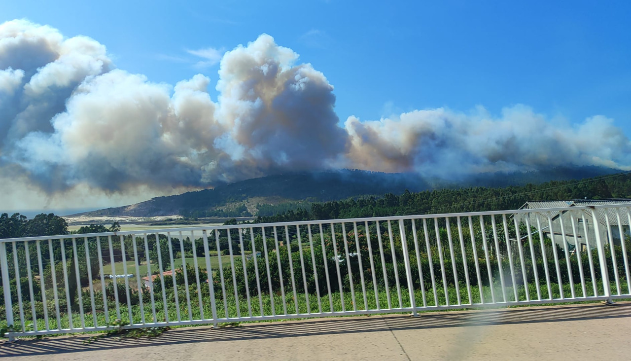 WhatsApp Image 2025 08 02 at 17.29.04