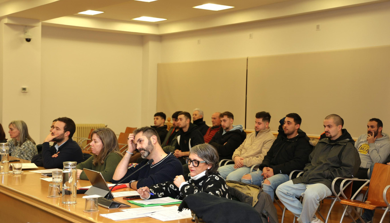 Pleno carballo razo