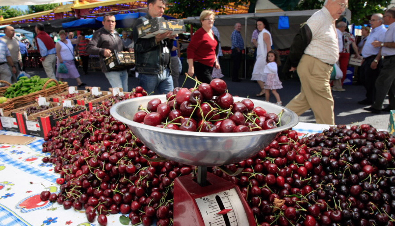 Festa da Cereixa 1 : Turismo Galicia