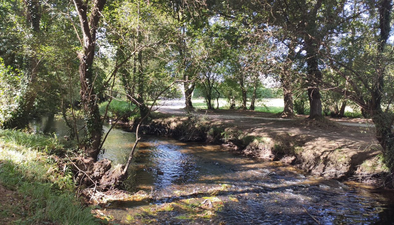 Río Anllóns a su paso por el bosque de Carballo