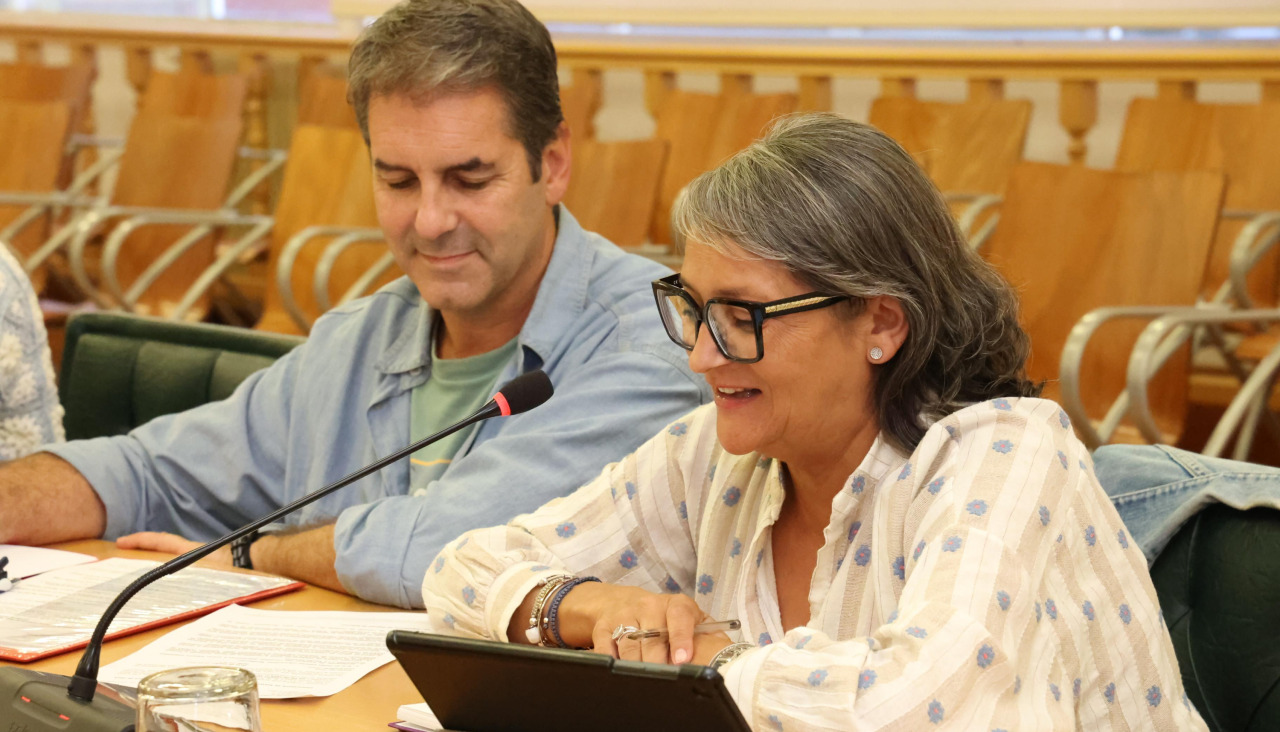 Vila, portavoz del PSOE carballés, en una intervención en el pleno