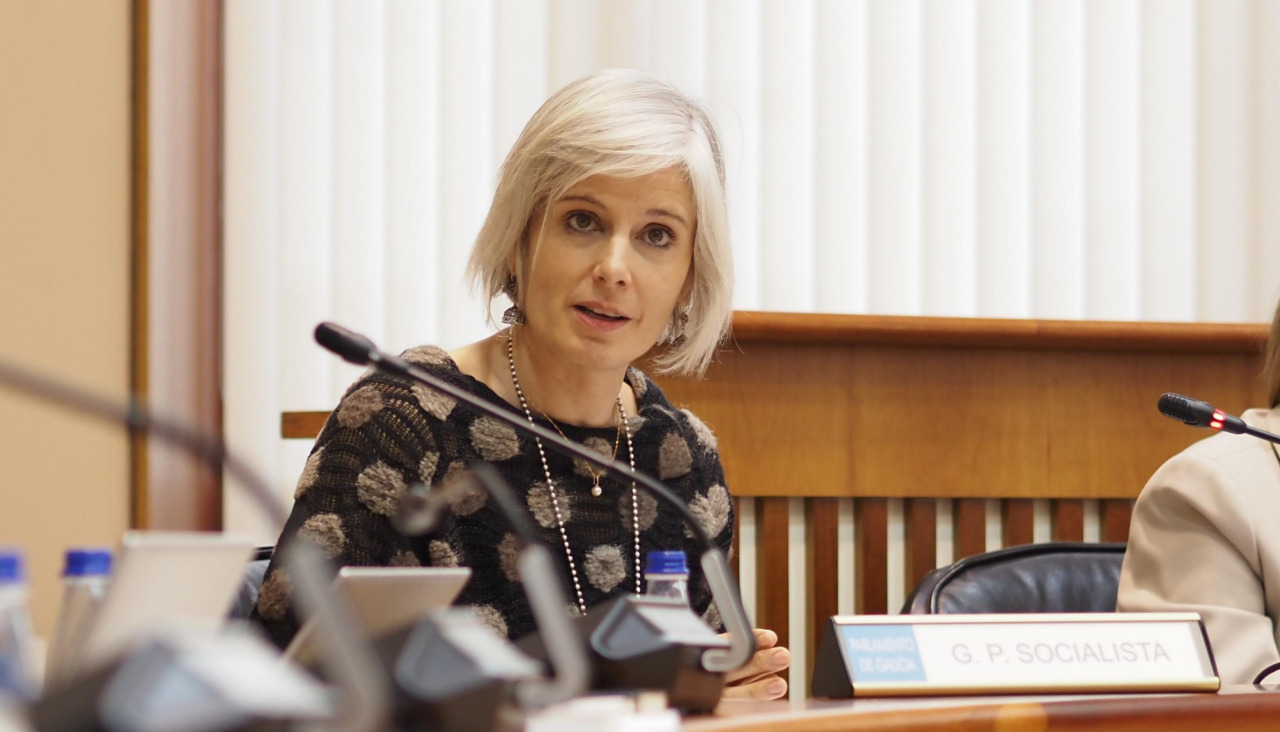Patricia Iglesias en una de sus comparecencias