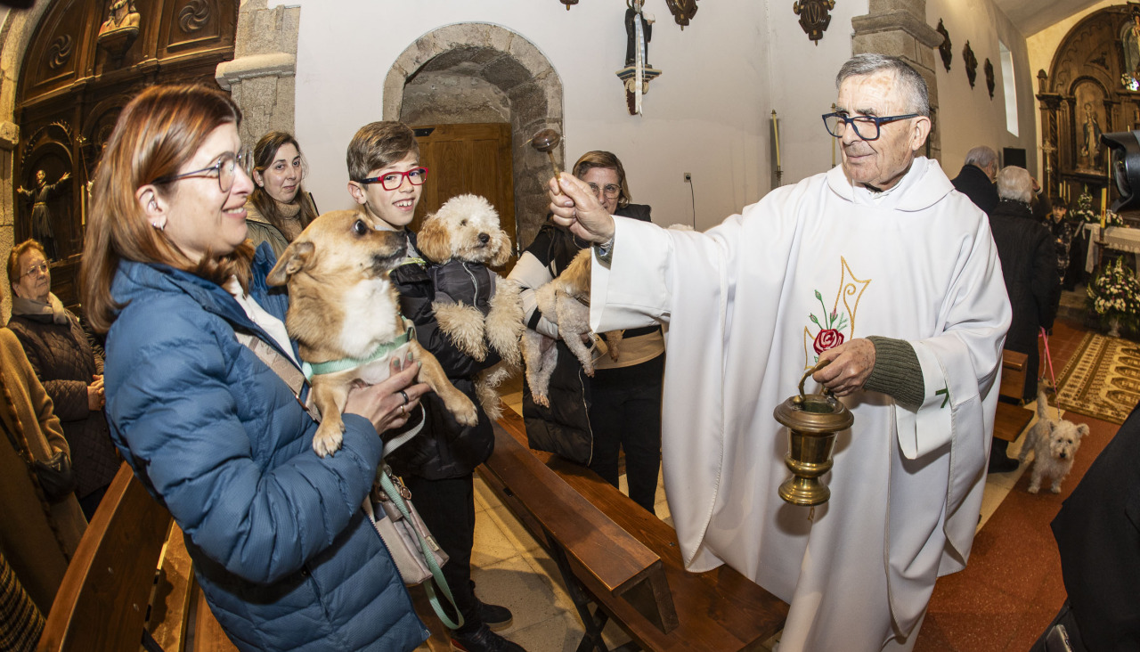 Bendición de los animales en Noicela este sábado