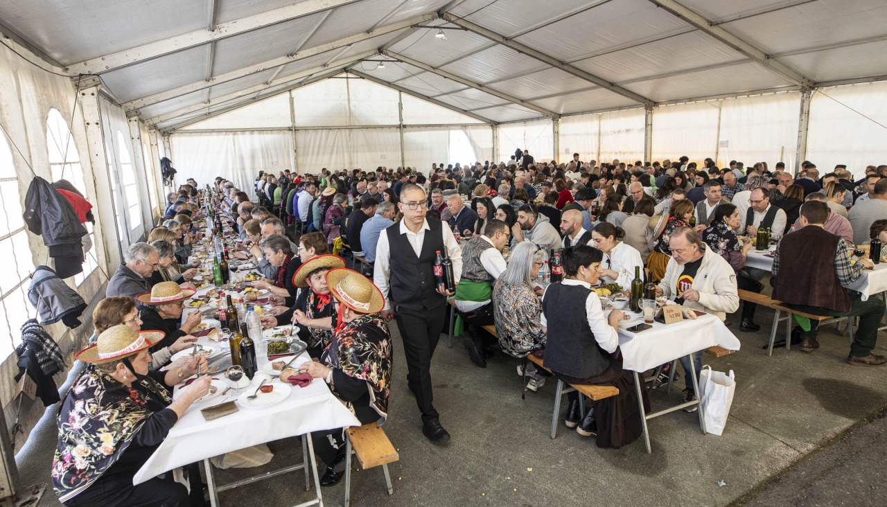 Festa do Grelo de Anxeriz en una pasada edición