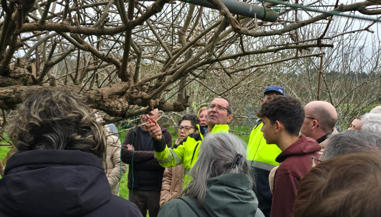 Cursos de poda en Oza el pasado sábado