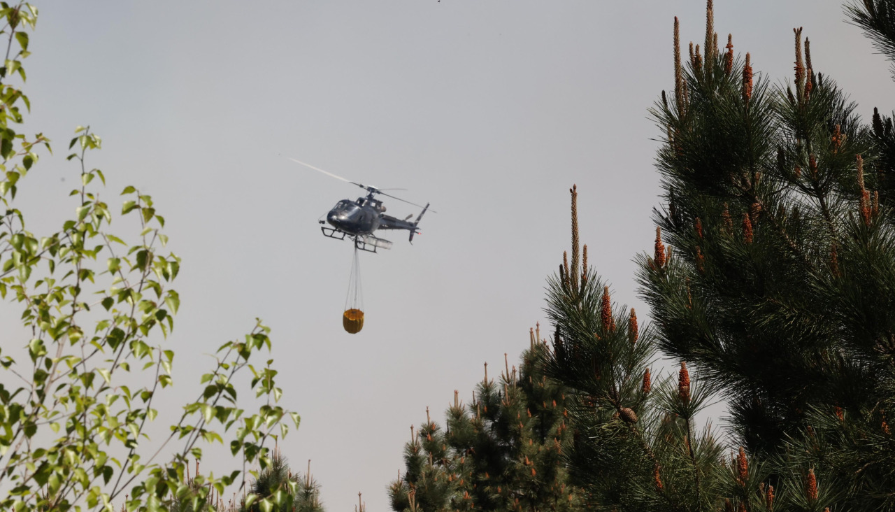 Incendio forestal en Caión (36)