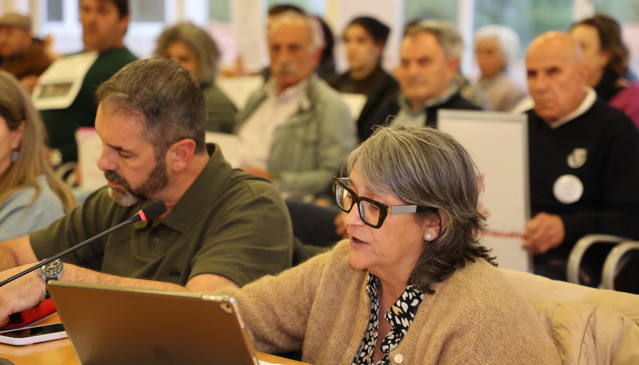 La portavoz socialista Mari Carmen Vila