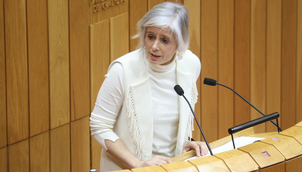 La diputada socialista Patricia Iglesias