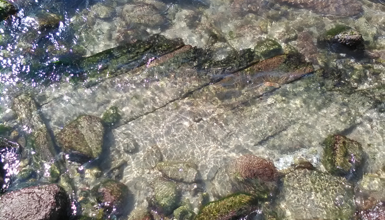 Restos del pecio en la playa de A Arnela de Corme