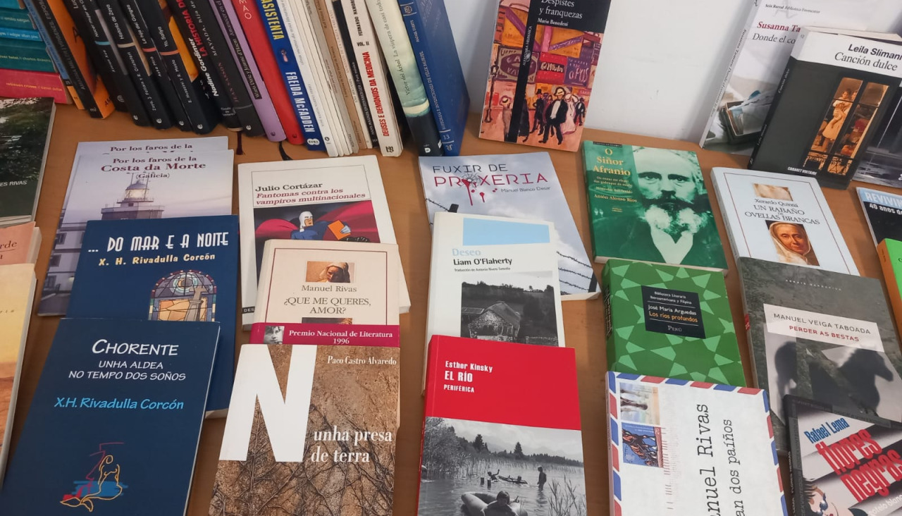 Libros donados por Manolo Vila a la sala de lectura de Quintáns