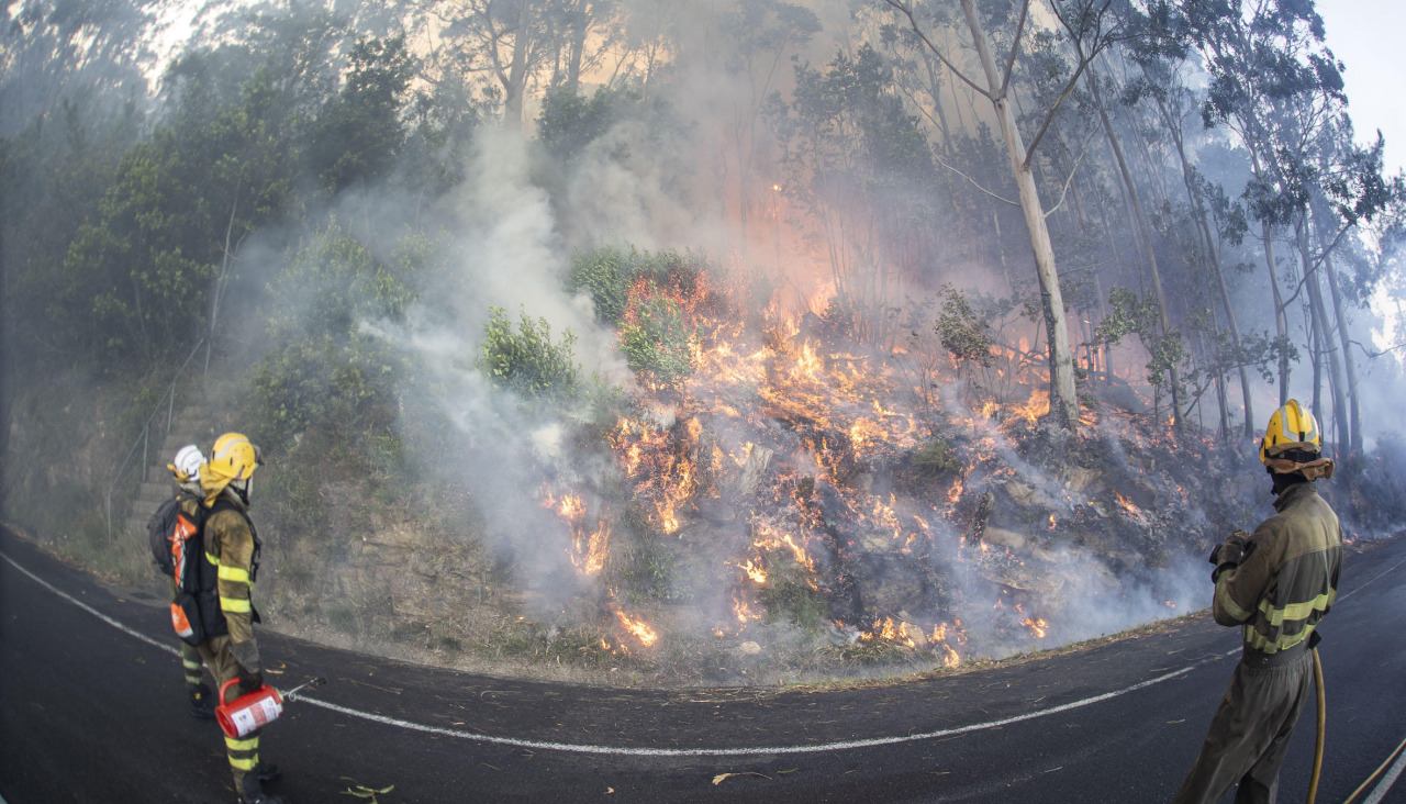 Uno de los incendios que asolaron al municipio de Ponteceso el verano pasado