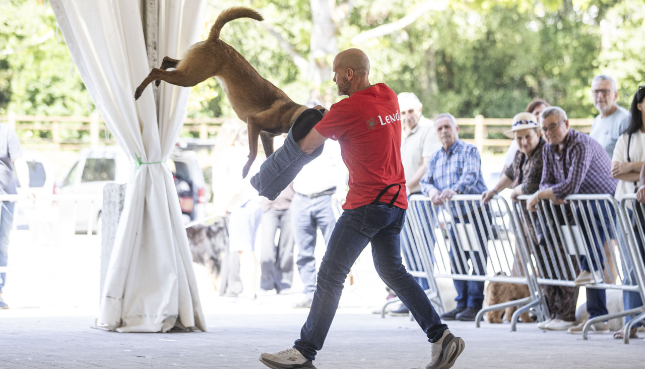 Jornada Canina en Baio